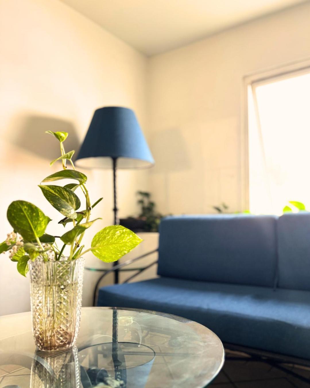 Hotel Arboledas Industrial Guadalajara Ngoại thất bức ảnh